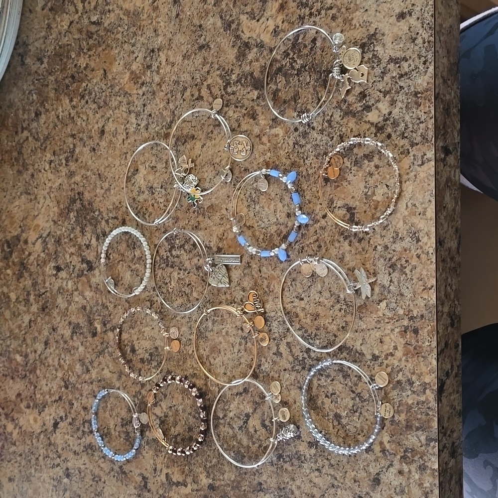 Lot of 14 Alex & Ani Bracelets Michigan Autism Dragonfly Pineapple
